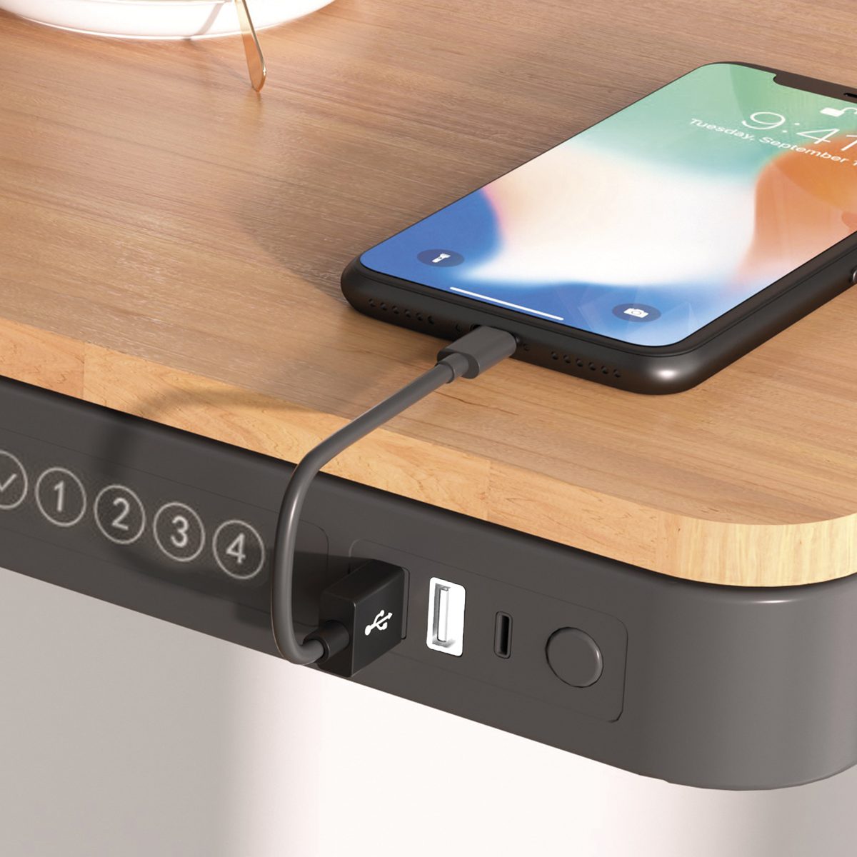 Single Motor Ultra-Quiet Electric Desk with Control Panel, USB Port ...