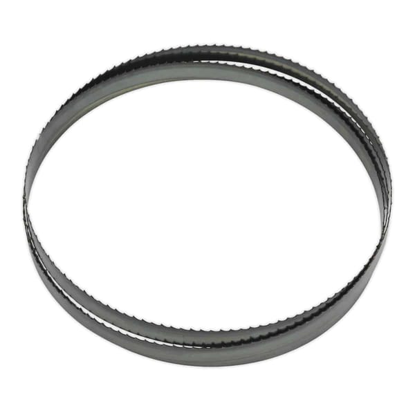 4tpi Skip Tooth Bandsaw Blade 2362 x 19 x 0.81mm