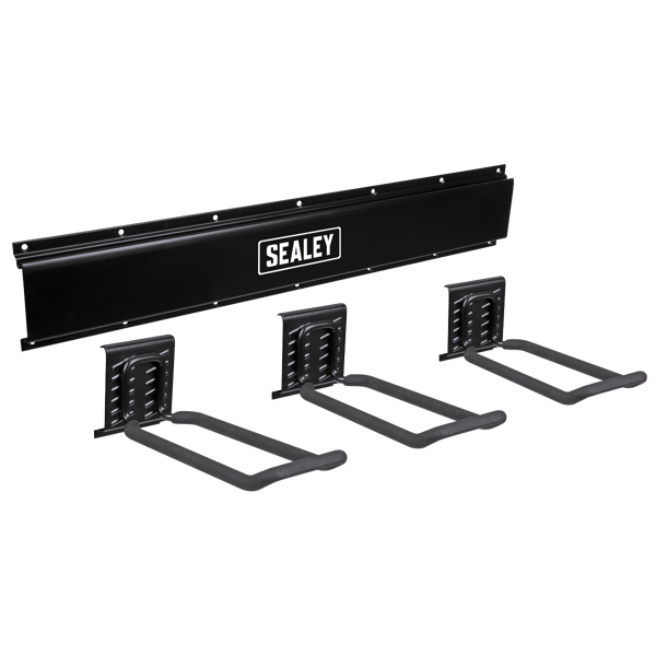 Wall Mounting Storage Rail with 3 Closed End Hooks