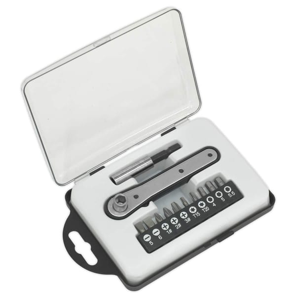 12pc ratchet driver bit set in a compact case for versatile hand tool use.