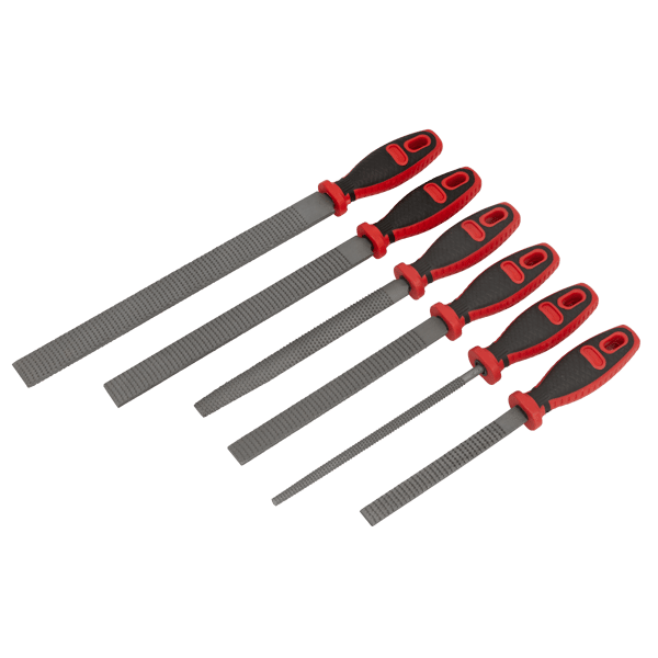 Rasp File Set 6pc