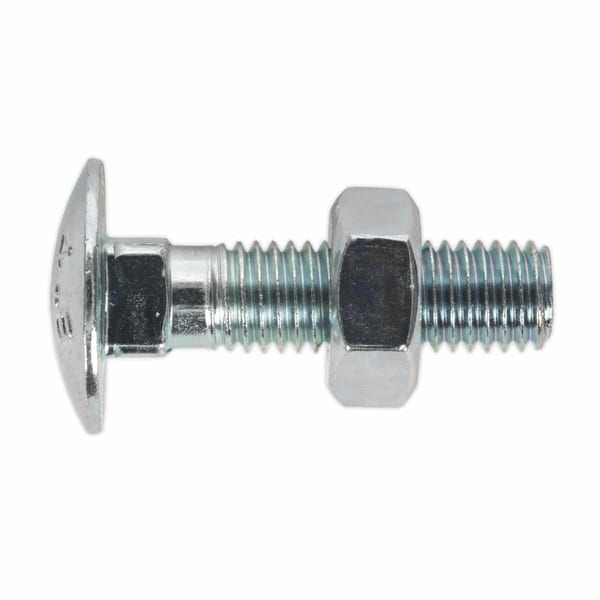 Zinc Plated Coach Bolt & Nut M10 x 40mm, DIN 603 - Pack of 50