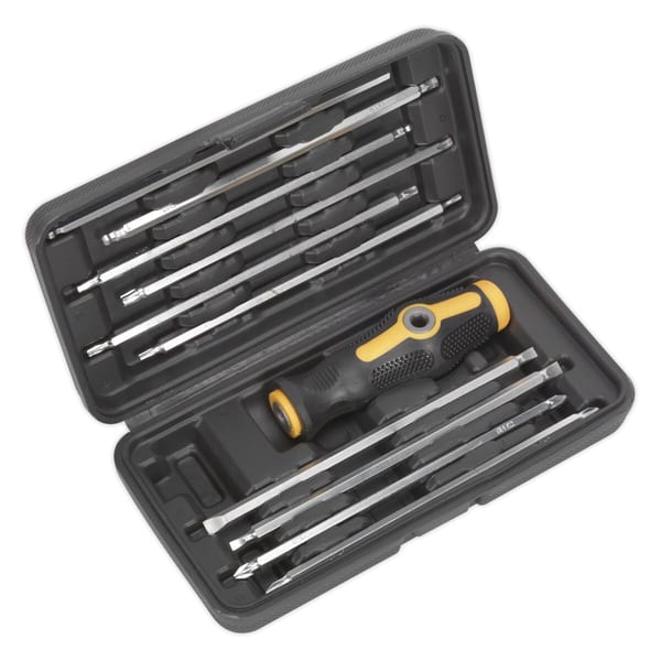 20-in-1 screwdriver set with handle and interchangeable bits in a compact case.