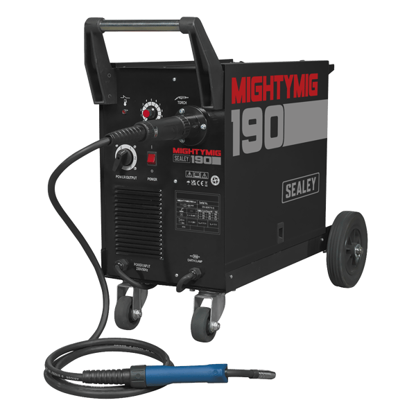 Professional Gas/Gasless MIG Welder with Euro Torch 190A