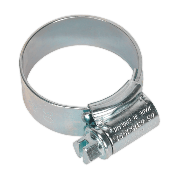 HI-GRIP(R) Zinc Plated Hose Clip 22-30mm - Pack of 20