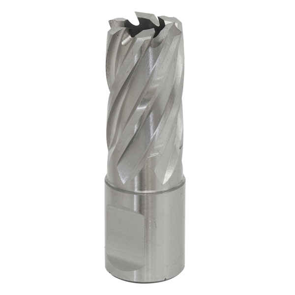 17mm HSS Mag Drill Bit Cut Depth 25mm