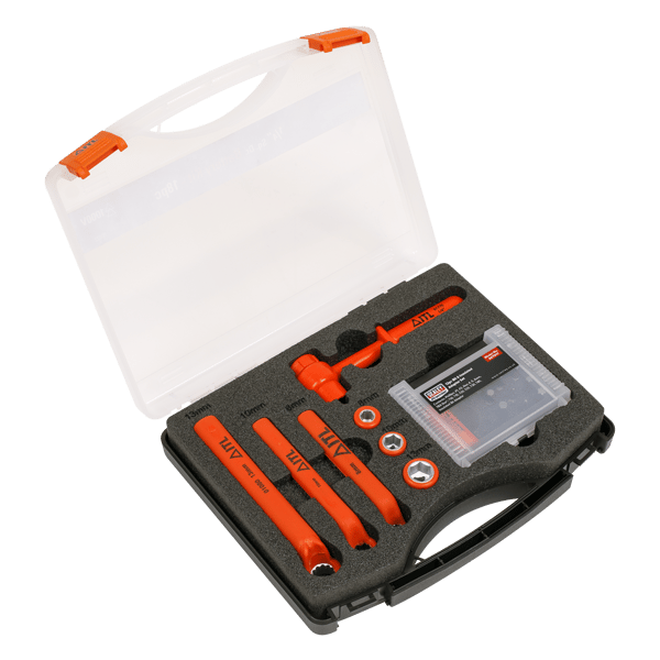 Hybrid & Electric Vehicle Battery Tool Kit 19pc