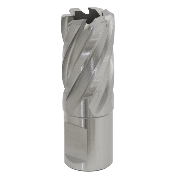 21mm HSS Mag Drill Bit Cut Depth 25mm