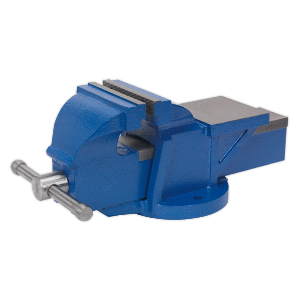 Professional Heavy-Duty Fixed Base Vice 125mm