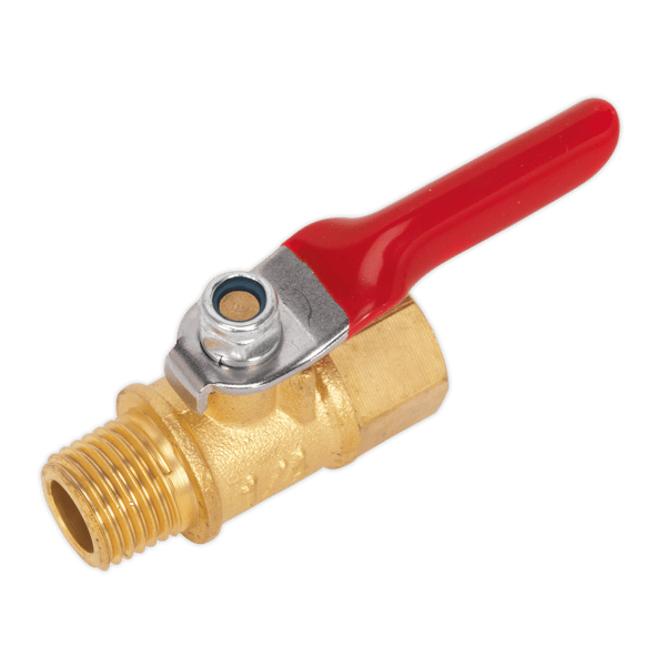 Lever Ball Valve 1/4"BSPT Male x 1/4"BSP Female