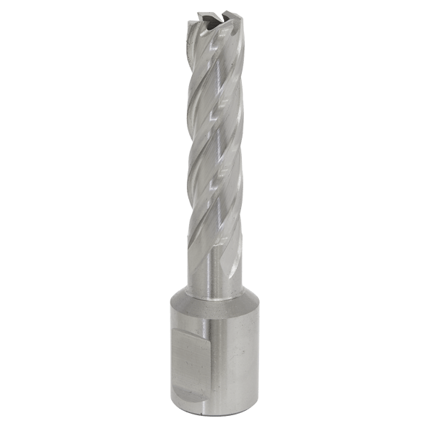 12mm HSS Mag Drill Bit Cut Depth 50mm