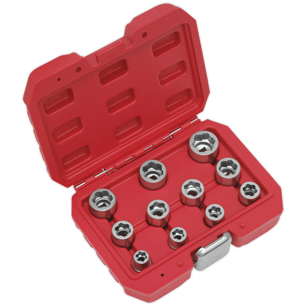 Bolt Extractor Socket Set 3/8"Sq Drive 11pc