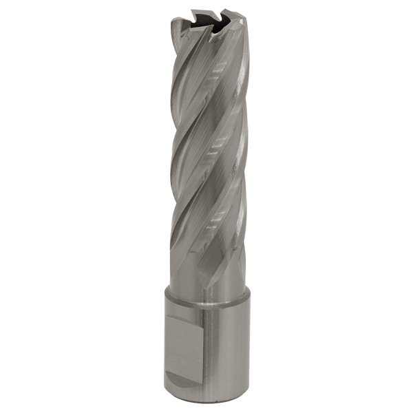 17mm HSS Mag Drill Bit Cut Depth 50mm