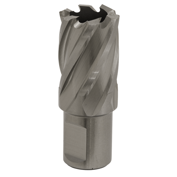 22mm HSS Mag Drill Bit Cut Depth 25mm
