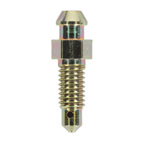 Brake Bleed Screw M6 x 29mm 1mm Pitch - Pack of 10
