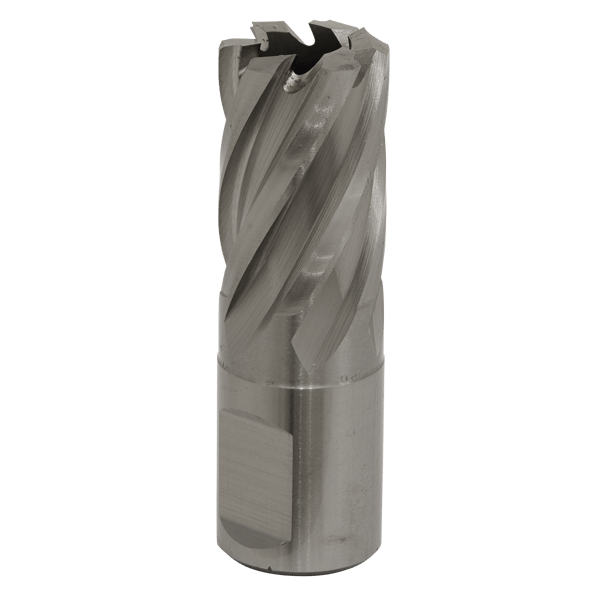 19mm HSS Mag Drill Bit Cut Depth 25mm