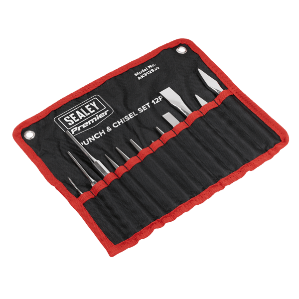 Punch & Chisel Set 12pc