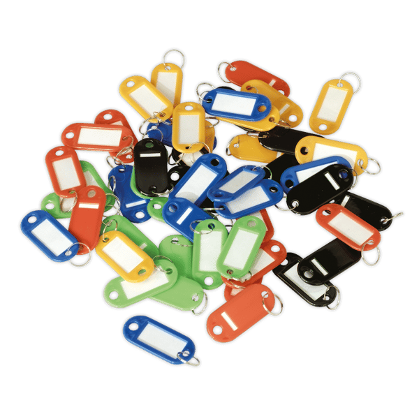 Key Tag Assortment 50pc