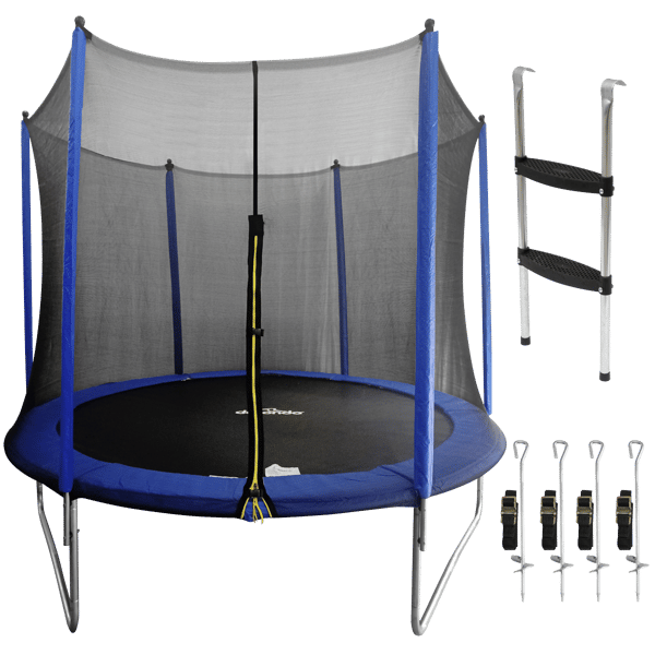 Heavy-Duty Outdoor Trampoline with Safety Enclosure Net, Anchors & Ladder 10ft