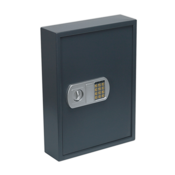 Electronic Key Cabinet 100 Key Capacity