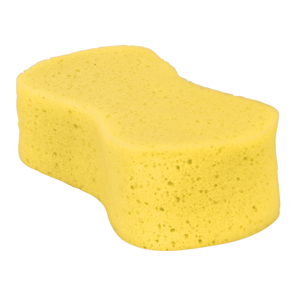Large Sponge