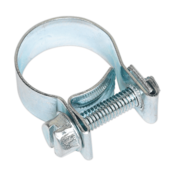 Mini Hose Clip 15-17mm - Pack of 20