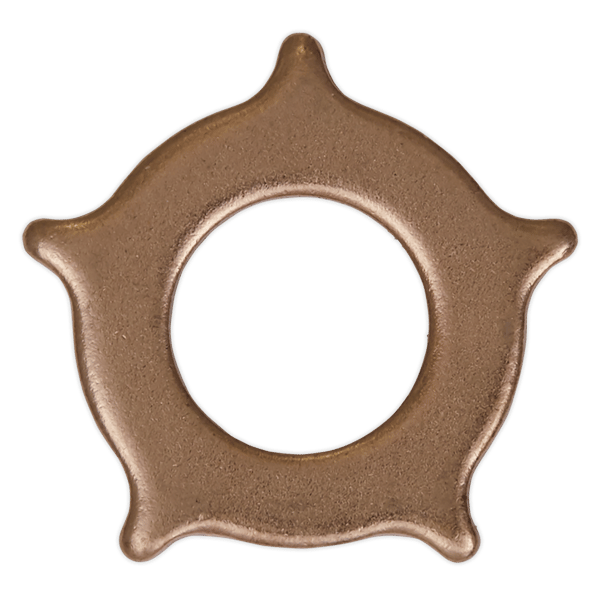 Star Washer for SR2000 - Pack of 10