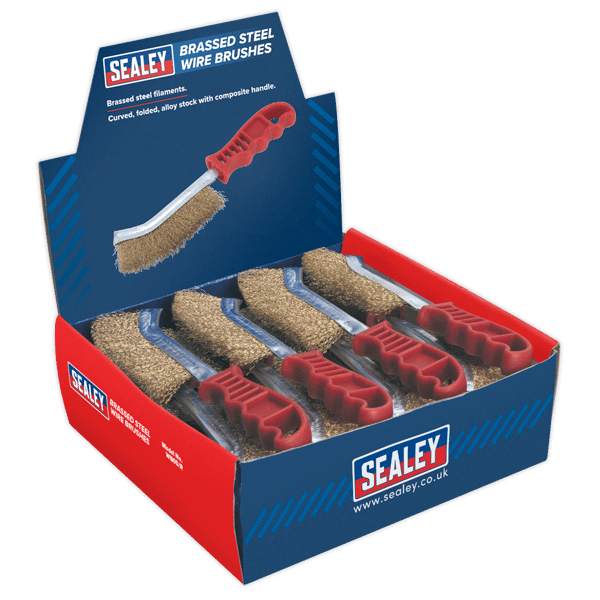 Brassed Steel Wire Brush with Plastic Handle - Display Box of 24
