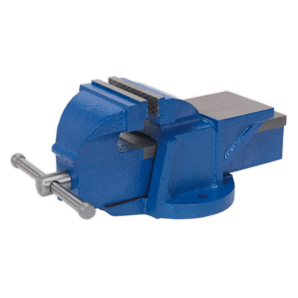 Professional Heavy-Duty Fixed Base Vice 100mm