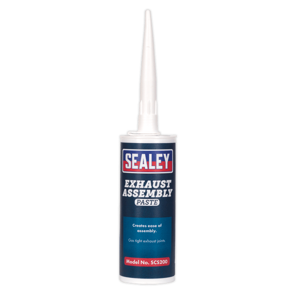 Exhaust Assembly Paste 300g