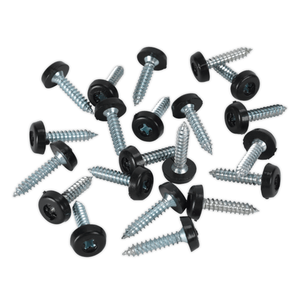Numberplate Screw with Plastic Enclosed Head 4.8 x 24mm, Black - Pack of 50