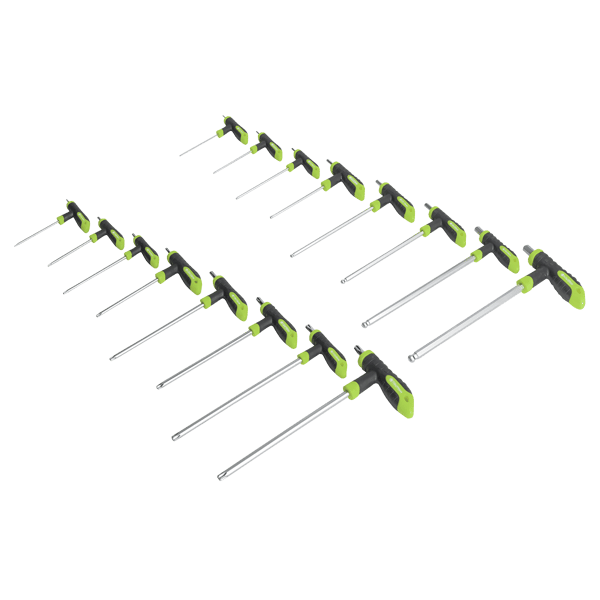 Siegen T-Handle TRX-Star* & Hex Key Set 16pc