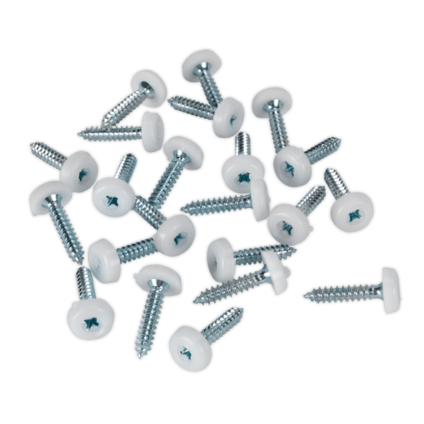 Numberplate Screw with Plastic Enclosed Head 4.8 x 24mm, White - Pack of 50
