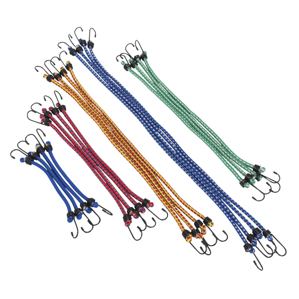 Bungee Cord Set 20pc