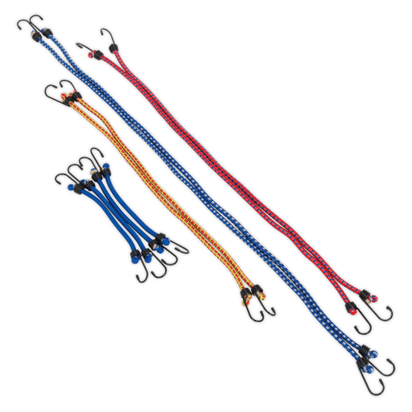 Bungee Cord Set 10pc