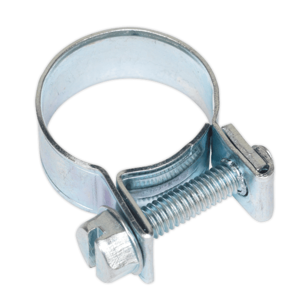 Mini Hose Clip 16-18mm - Pack of 20