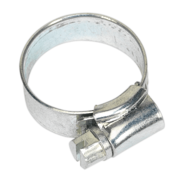 Zinc Plated Hose Clip 16-22mm - Pack of 30