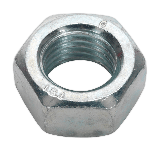 Zinc Plated Steel Nut M20, DIN 934 - Pack of 10
