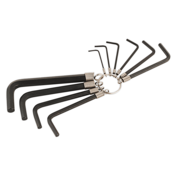 Hex Key Set on Ring 10pc
