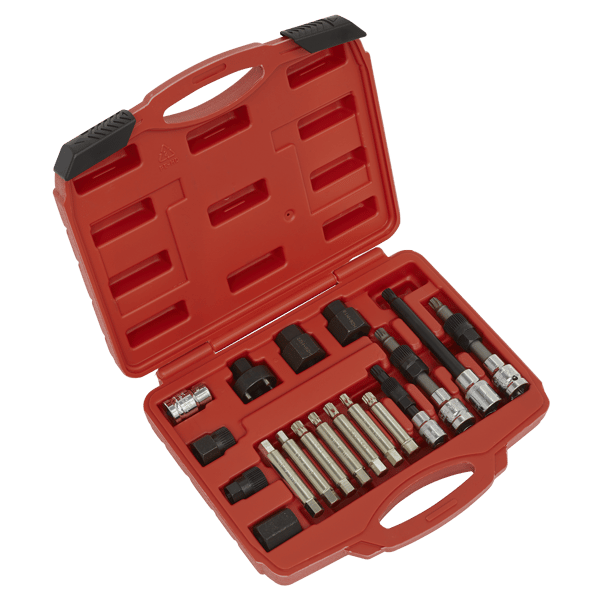 Alternator Freewheel Pulley Removal Set 18pc
