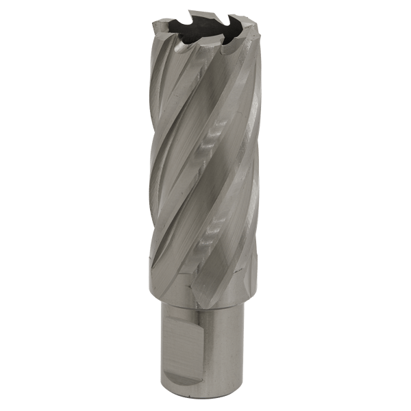 25mm HSS Mag Drill Bit Cut Depth 50mm